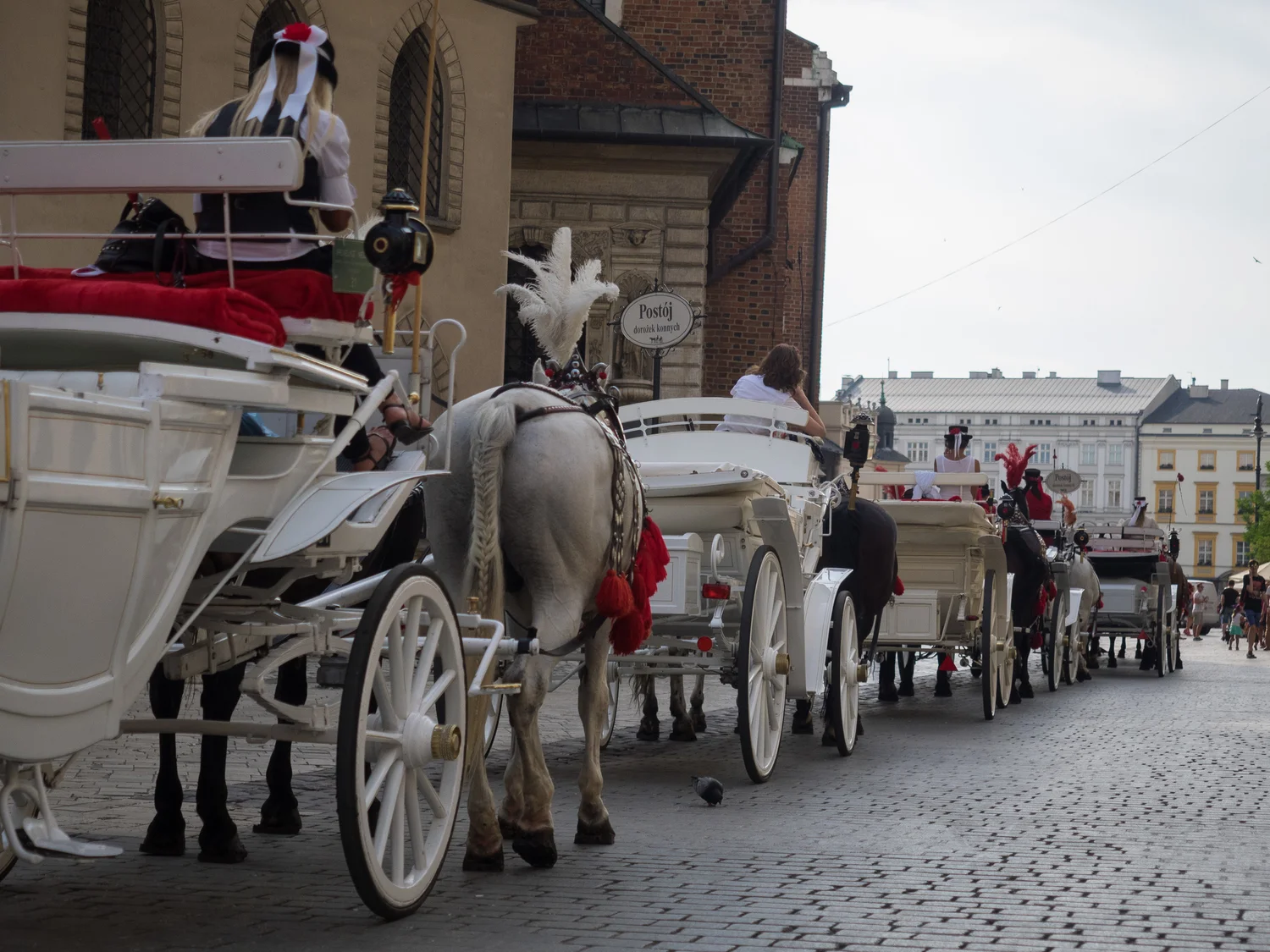  Horses line up to take tourists round the square 