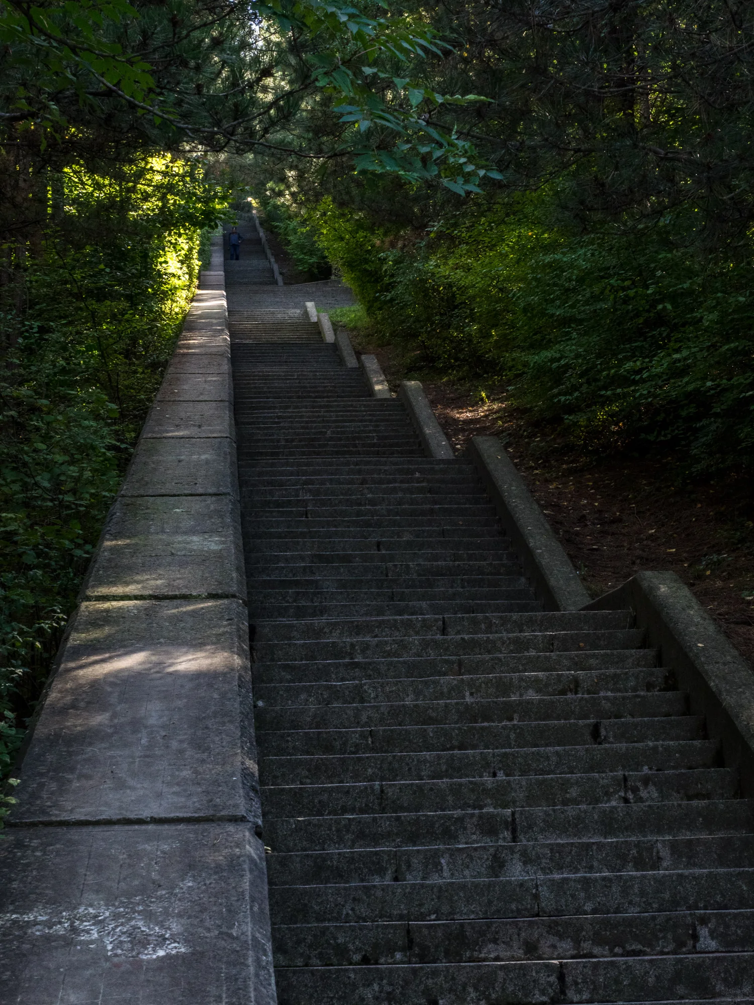 P9170963.jpg