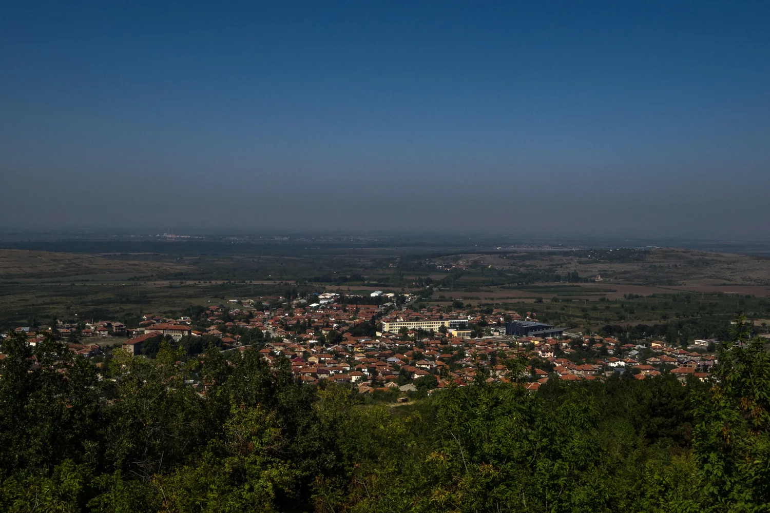 P9191446.jpg