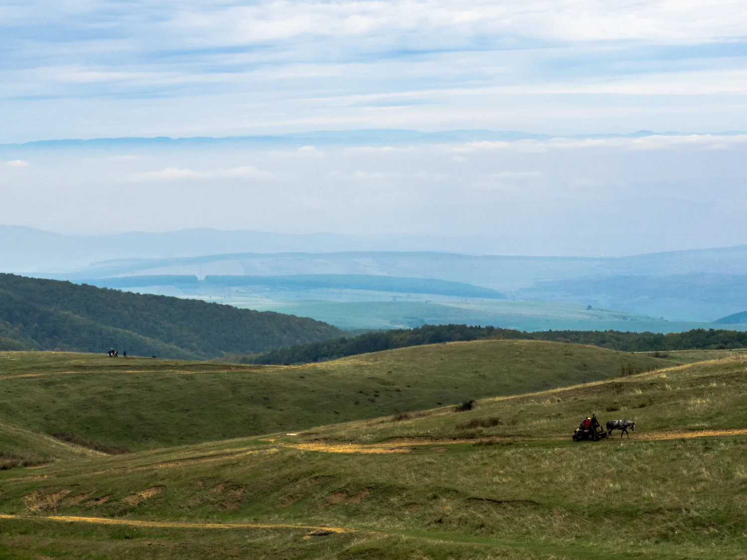PA140684.jpg