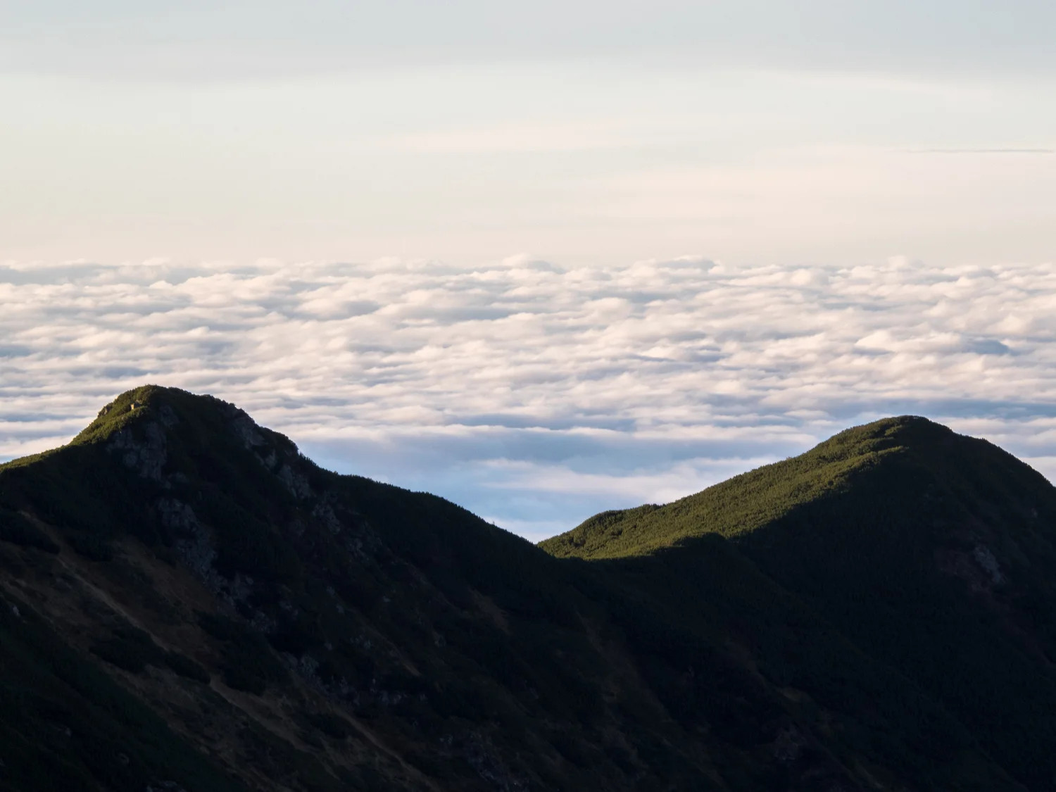 PA130599.jpg