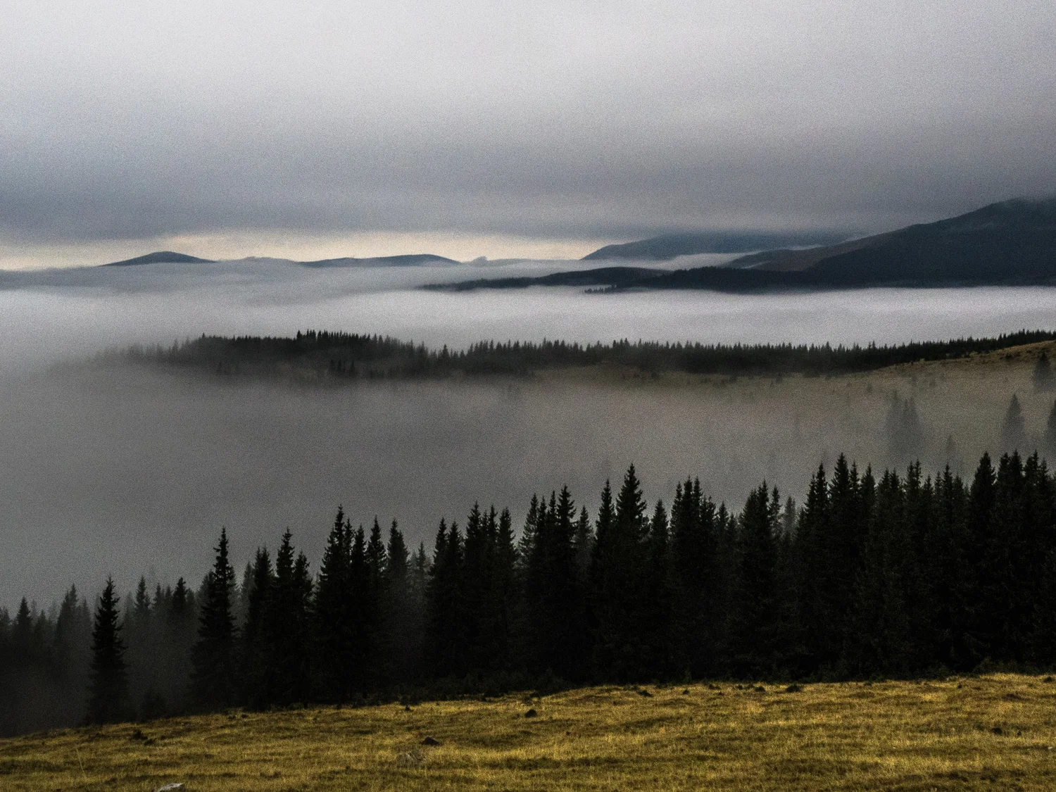 PA140761.jpg