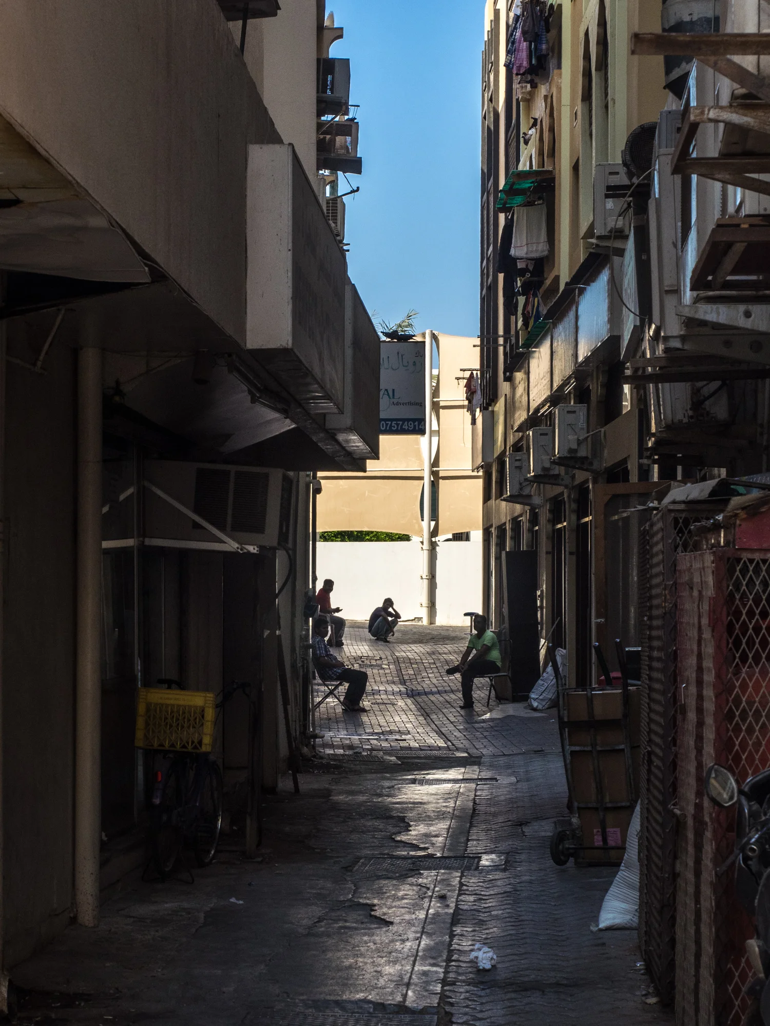 PA170969.jpg