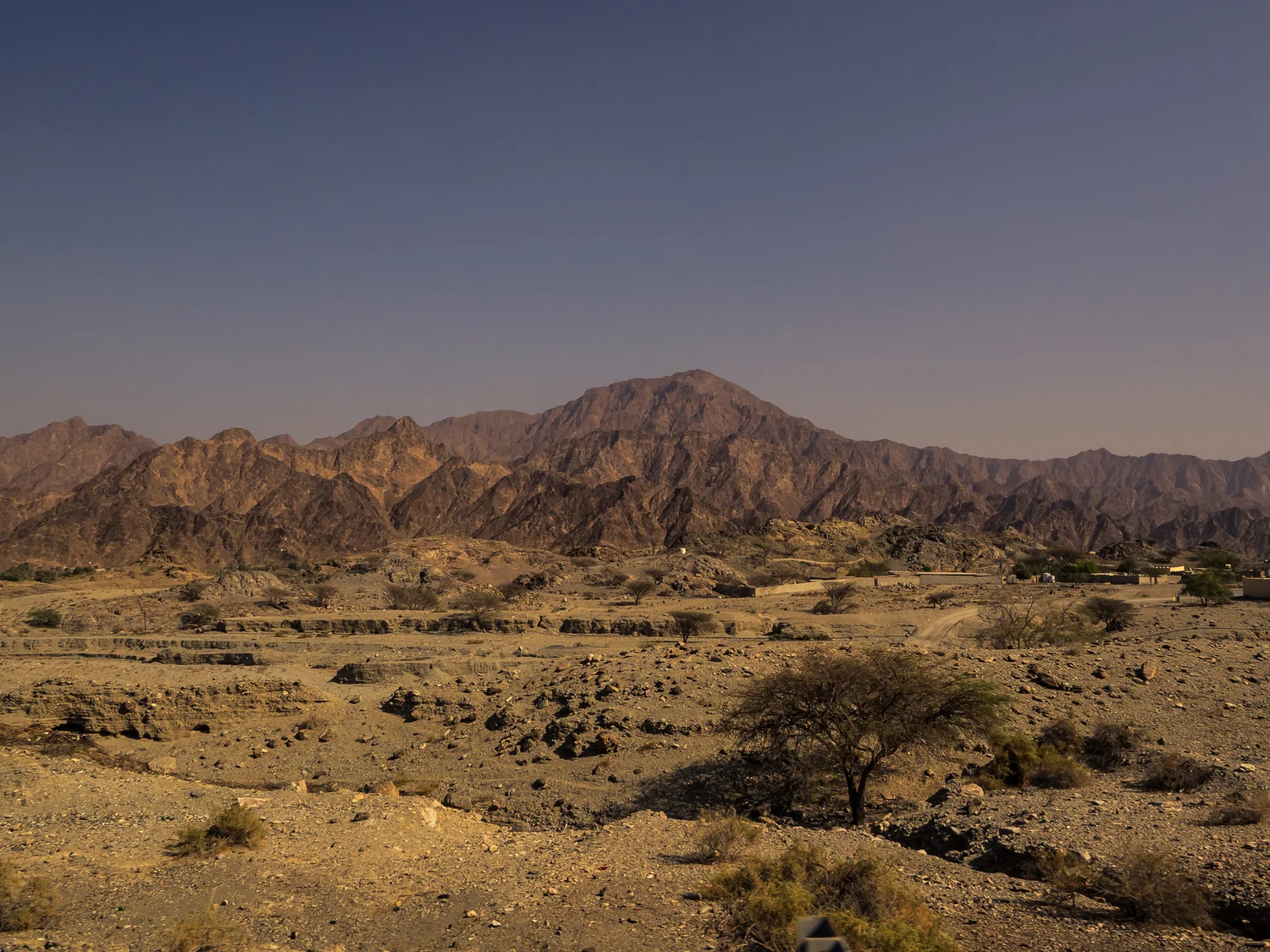 PA211755.jpg