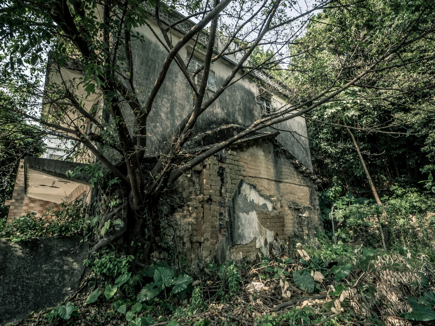 PA280650-15.jpg