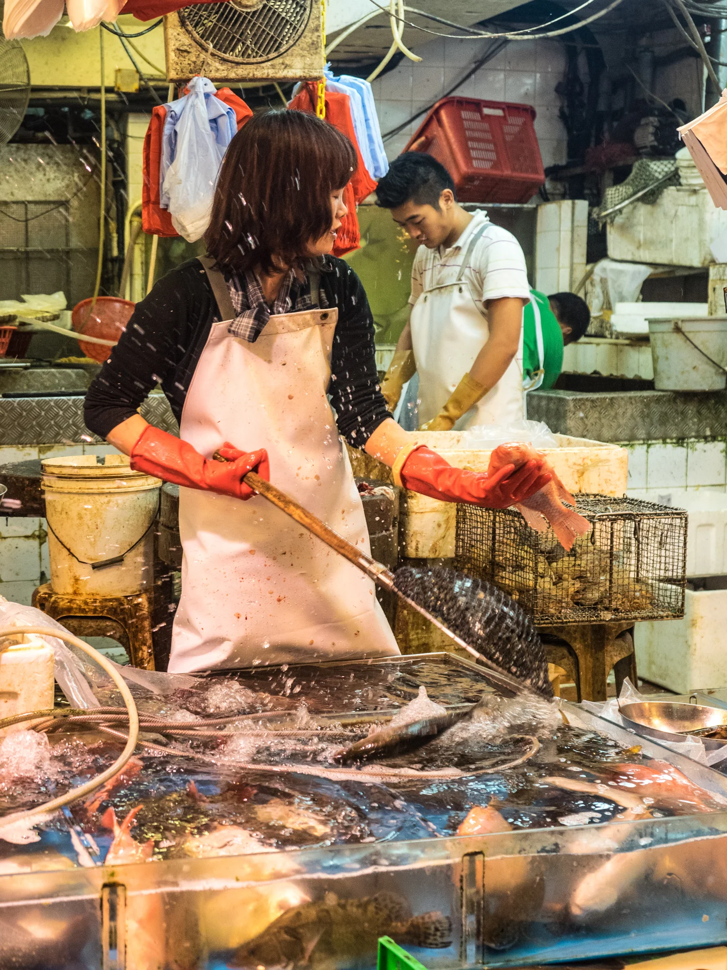 hongkong-16.jpg