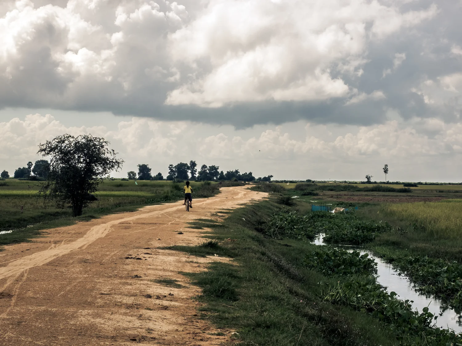 PB141168-2.jpg