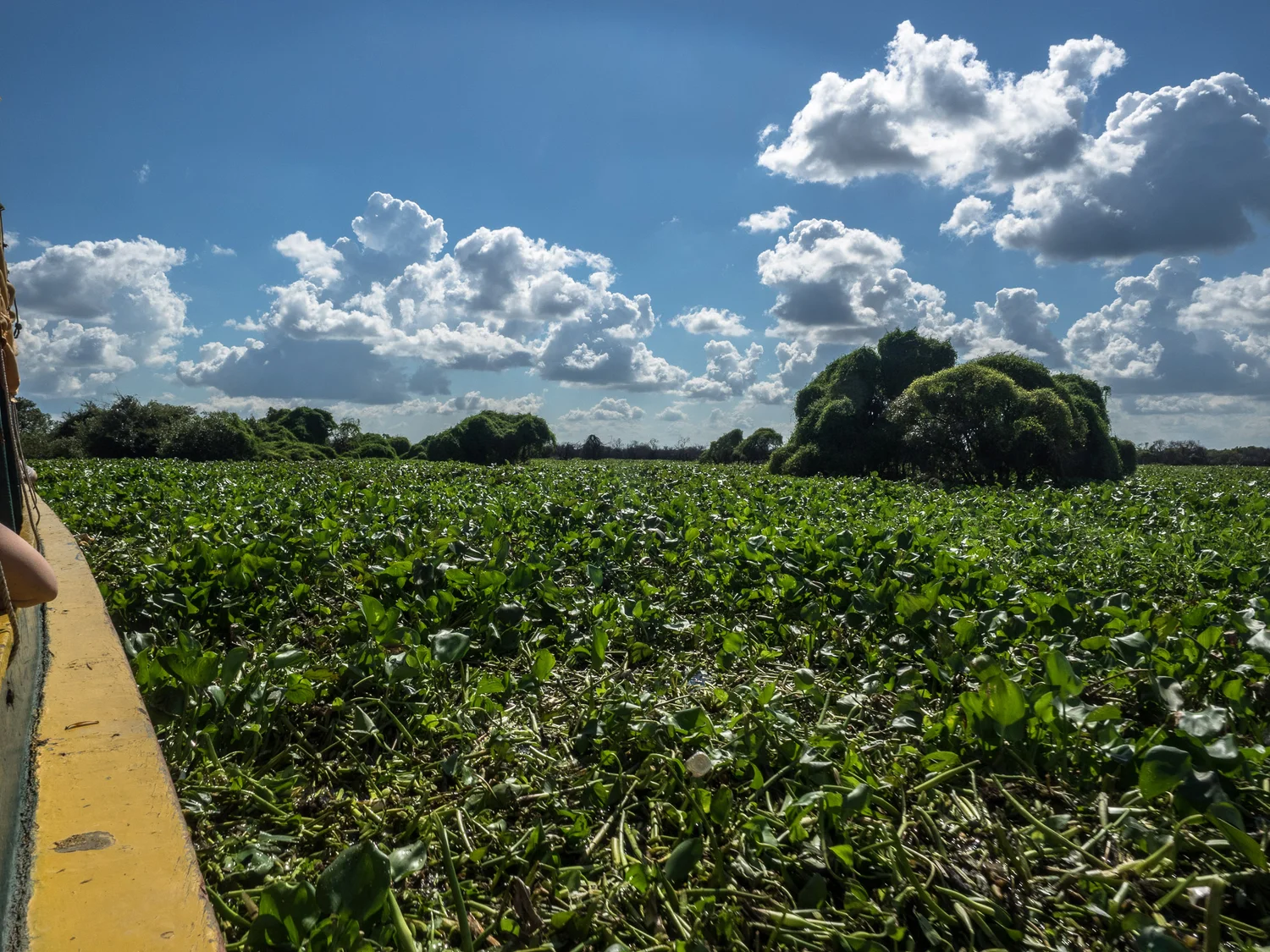 siem_reap_battambang_boat_cambodia-23.jpg