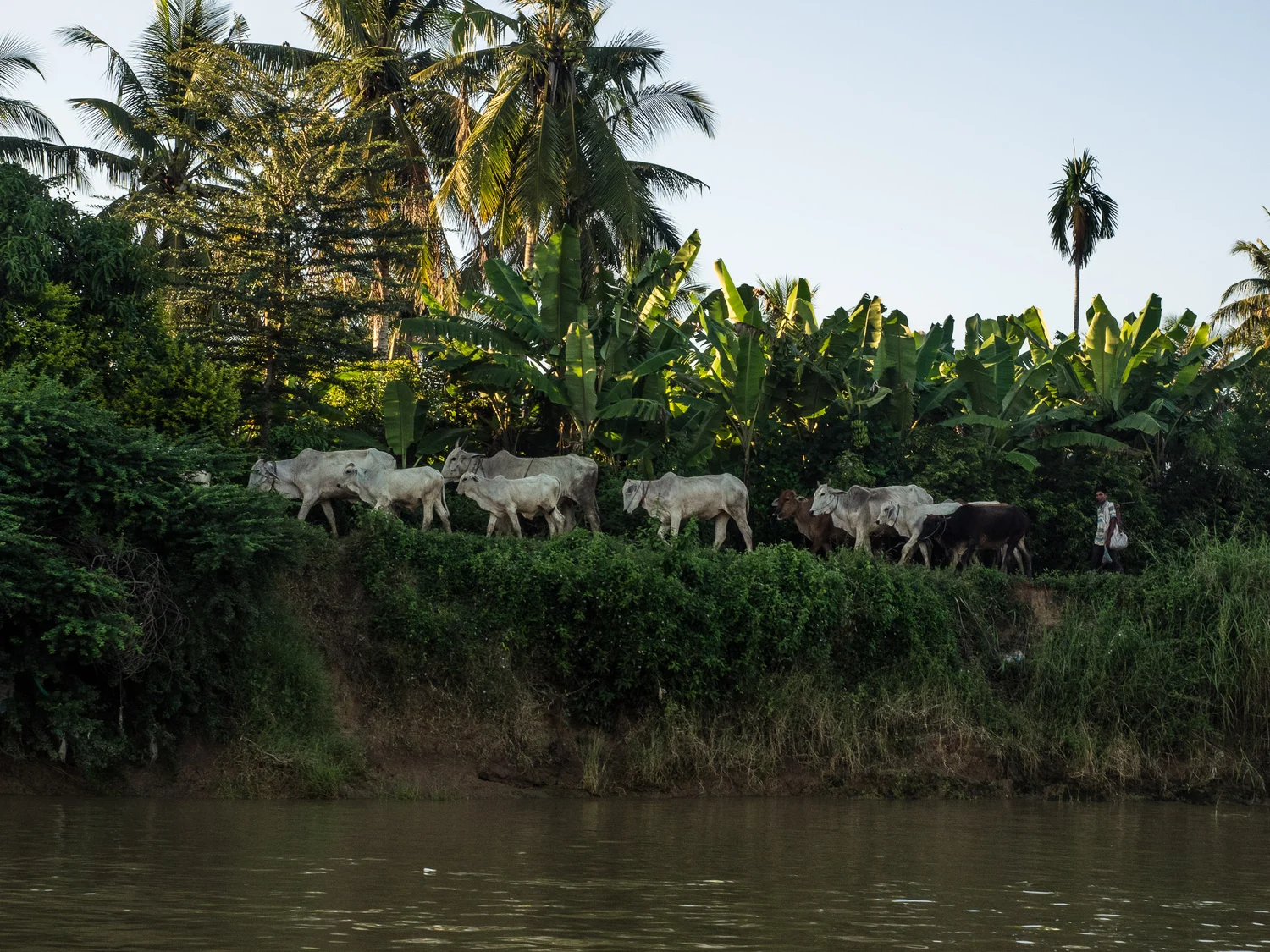 siem_reap_battambang_boat_cambodia-24.jpg
