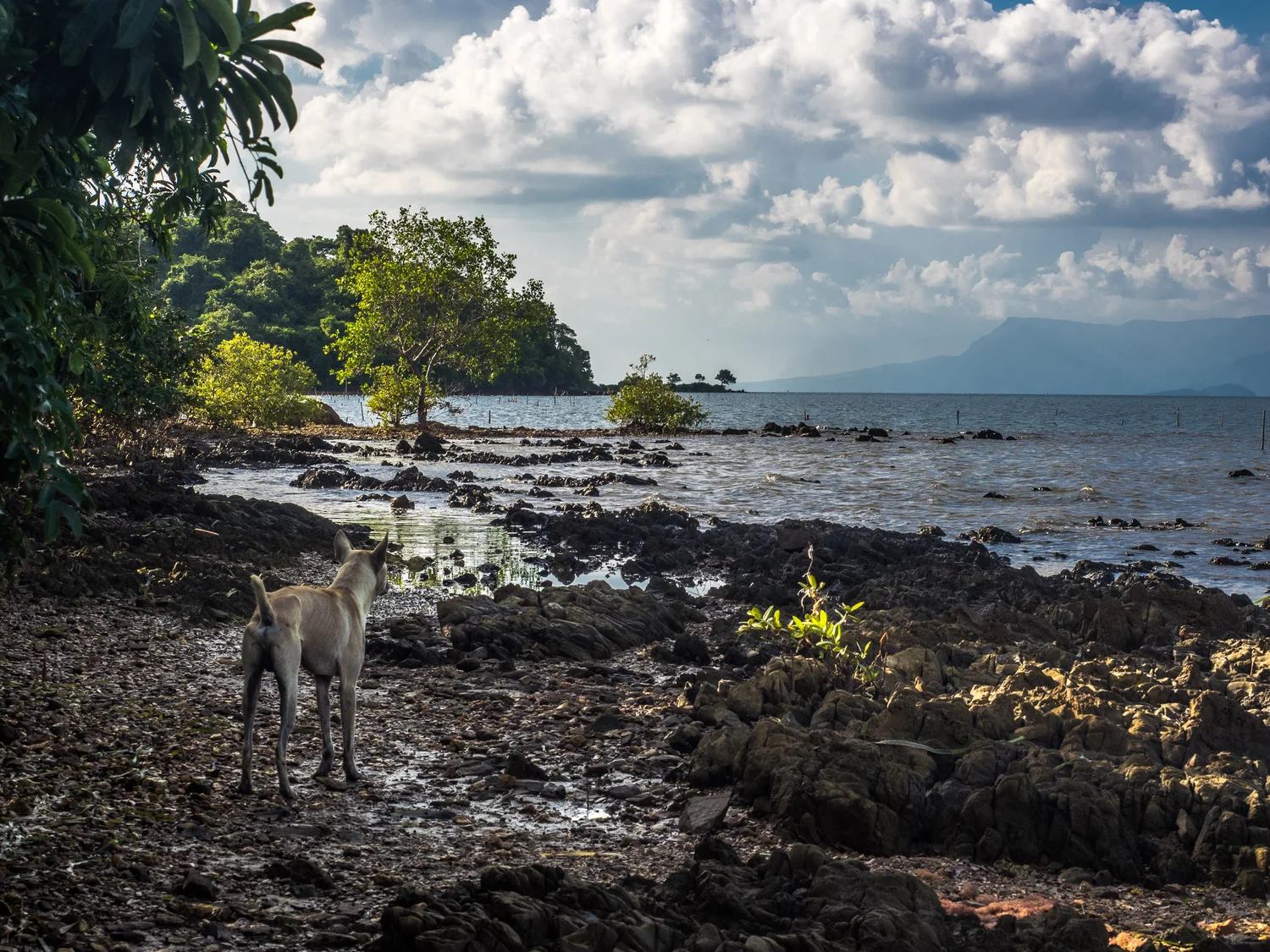 kampot_cambodia-5.jpg
