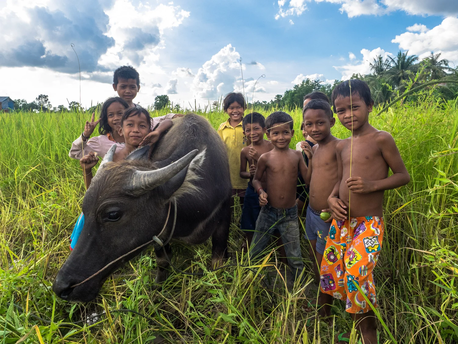 Cambodia - A portrait in pictures