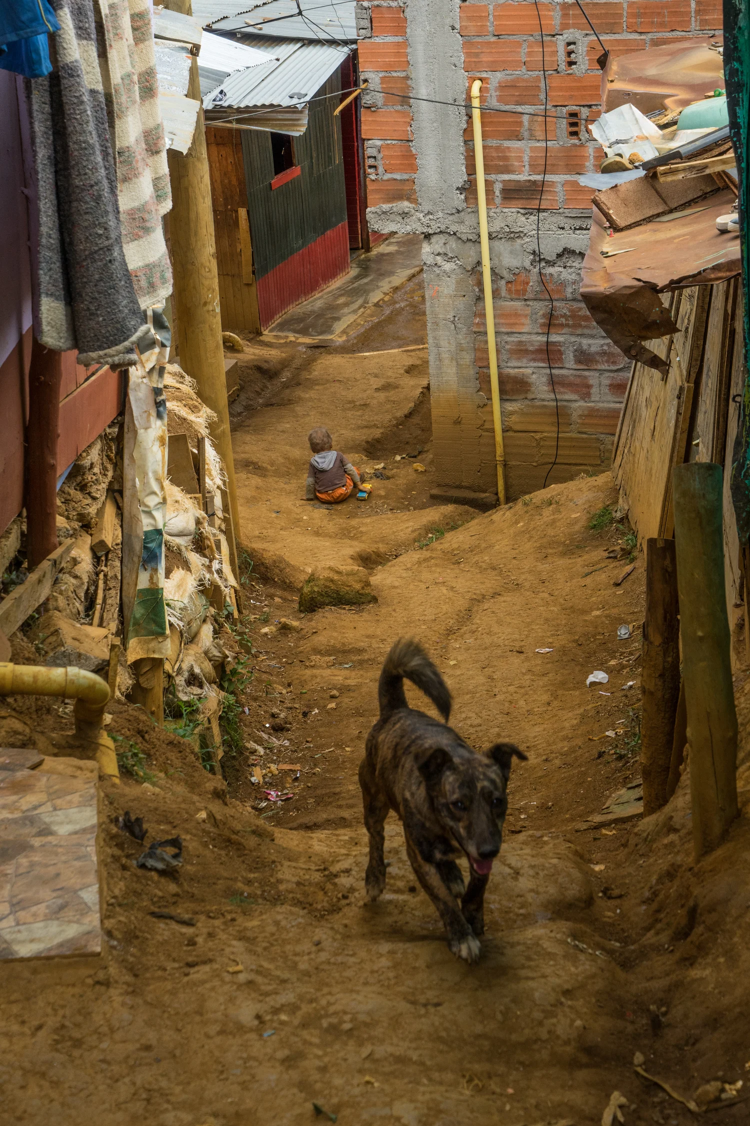 medellin_techo-44.jpg