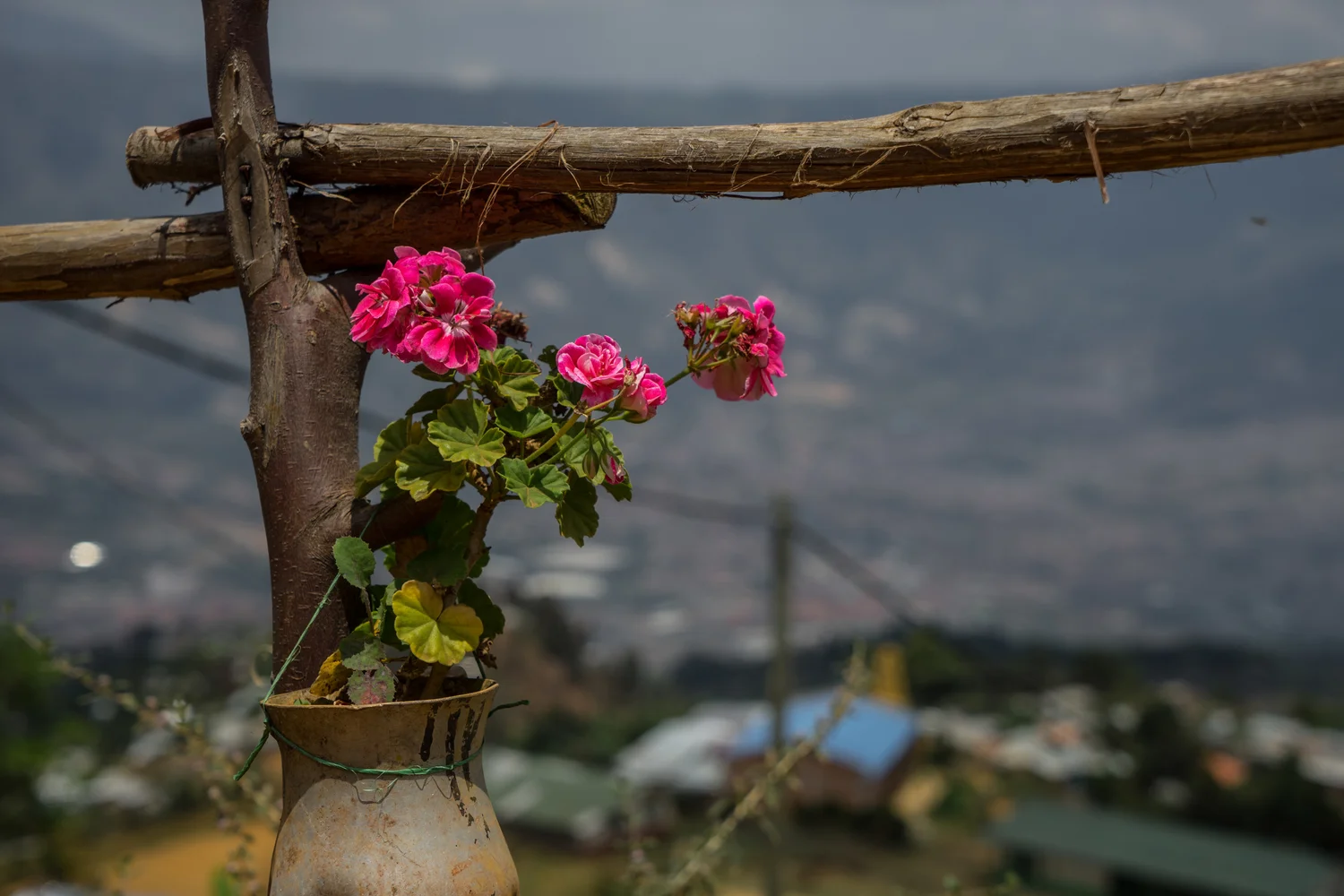 medellin_techo-15.jpg