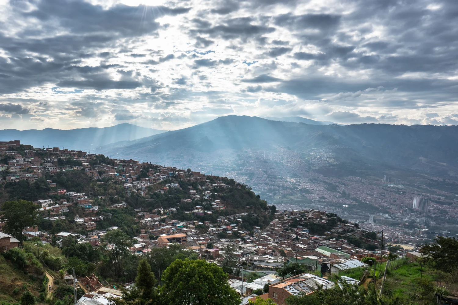 medellin_techo-51.jpg