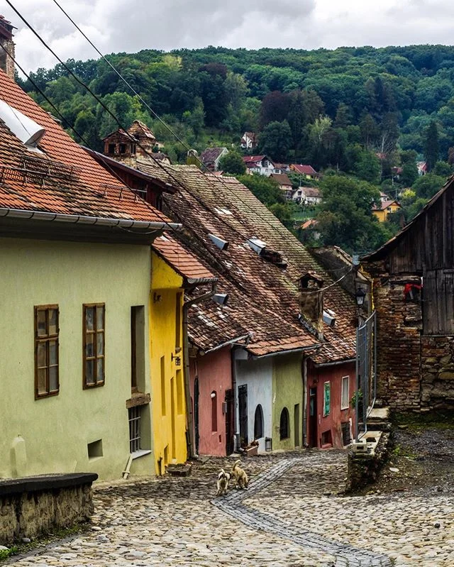 The beautiful medieval streets of Sighișoara in northern Romania. #romania #transilvania #sighișoara #travel #easterneurope